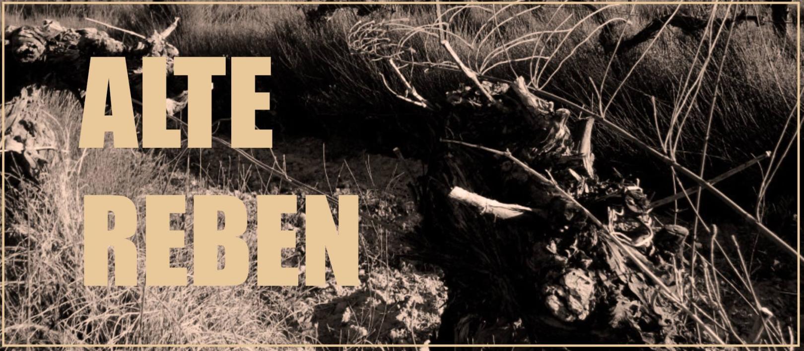 WEINWISSEN: ALTE REBEN