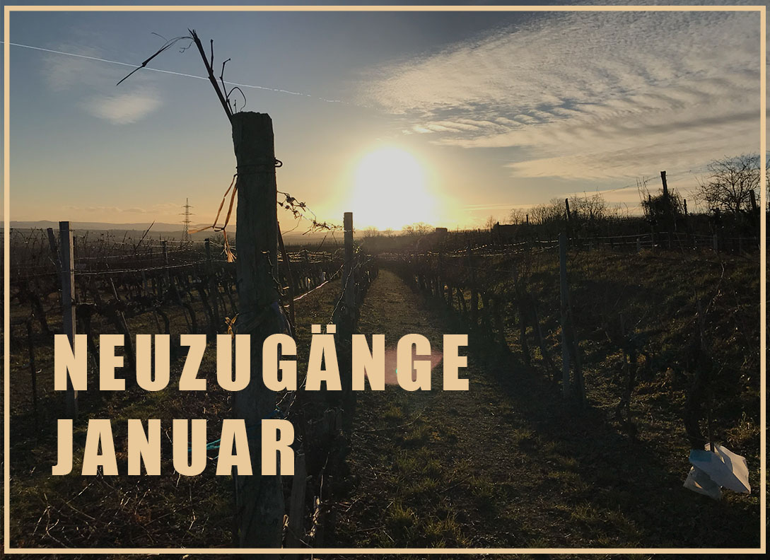 NEUZUGÄNGE JANUAR