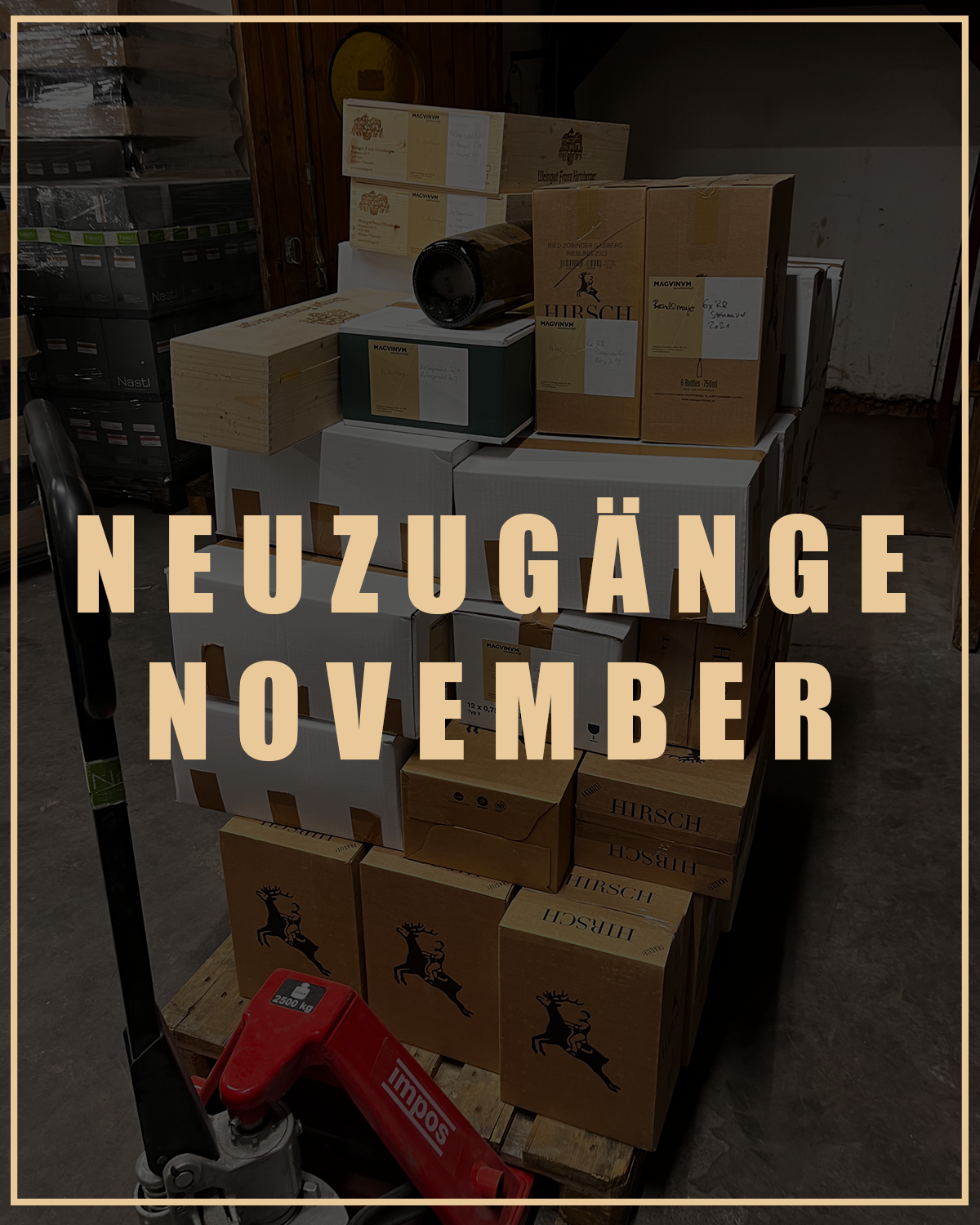 NEUZUGÄNGE DEZEMBER