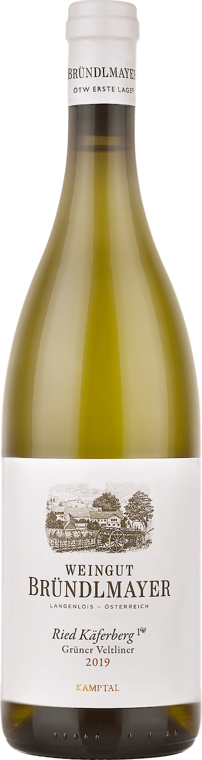 Ried Käferberg Grüner Veltliner