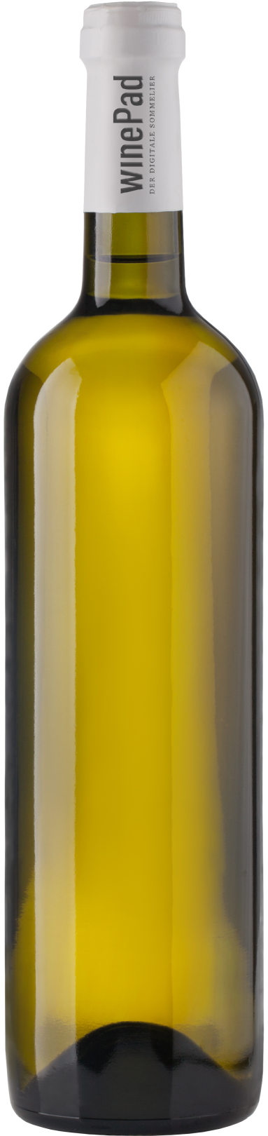 Ried Steinhaus Riesling Reserve